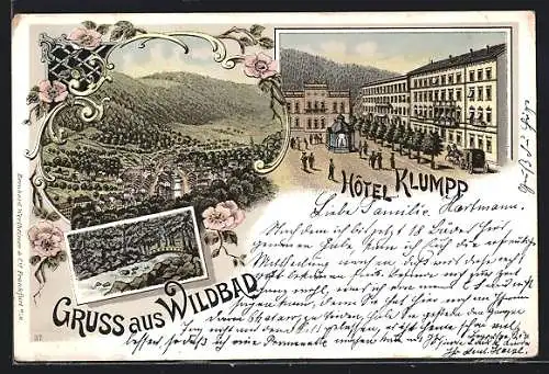 Lithographie Wildbad / Württ., Hotel Klumpp, Uferpartie, Teilansicht