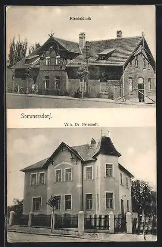 AK Sommersdorf / Börde, Pferdeklinik, Villa Dr. Petschelt