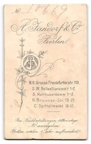 Fotografie A. Jandorf & Co., Berlin, Grosse Frankfurterstr. 113, Elegante Dame mit moderner Frisur