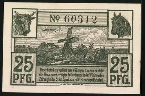 Notgeld Wilster 1920, Das alte Rathaus, Windmühlen