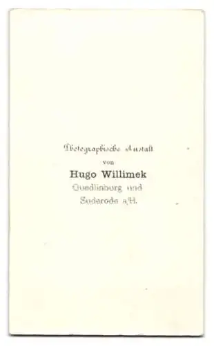 Fotografie Hugo Willimek, Quedlinburg, junger Mann im Anzug mit Weste und Fliege