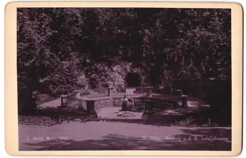Fotografie C. Hertel, Mainz, Ansicht Bad Homburg, v. d. H., Blick auf den Ludwigsbrunnen im Park