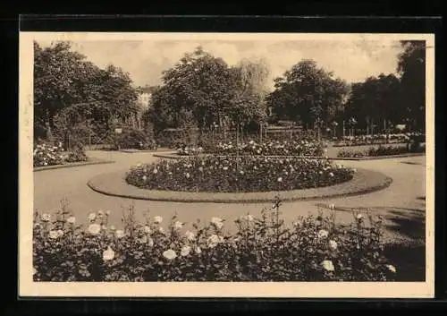 AK Landsberg a. W., Der Rosengarten im Stadtpark