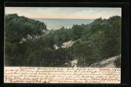 AK Rauschen, Blick auf die Gausupschlucht