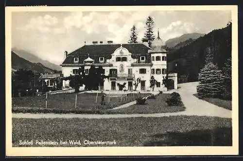 AK Wald /Obersteiermark, Schloss Paltenstein mit Garten und Strasse