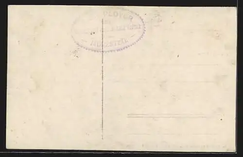 AK Mürzsteg, Gasthof Zur Post