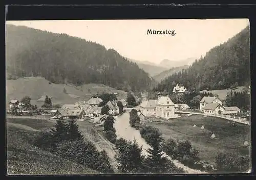 AK Mürzsteg, Ortsansicht mit Brücke und Jagdschloss