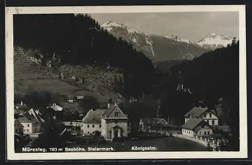 AK Mürzsteg /Steiermark, Königsalm, Ortspartie