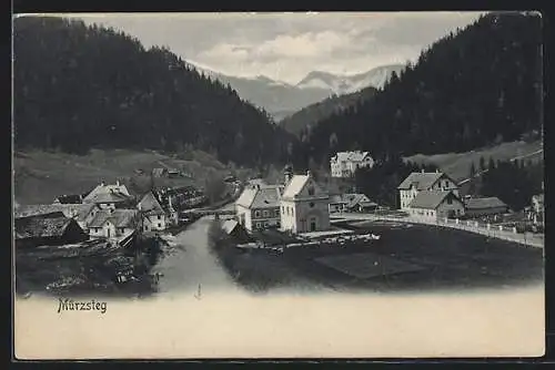 AK Mürzsteg, Teilansicht mit Flussbrücke