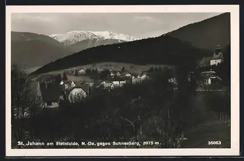 AK St. Johann am Steinfelde, Ortsansicht gegen den Schneeberg