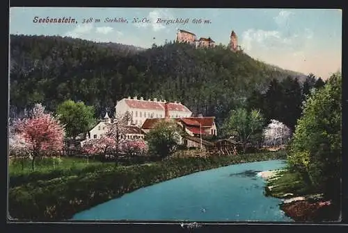 AK Seebenstein /N.-Oe., Ortsansicht mit dem Bergschloss