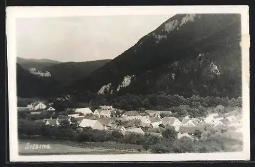 AK Ternitz, Sieding, Ortsansicht aus der Vogelschau