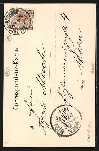 AK Salzburg, Strassenpartie am Neuthor