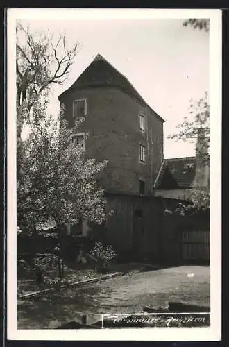 AK Traismauer, Reckturm in der Frühlingssonne