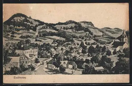 AK Eschenau /N.-Oe., Blick in den Ort