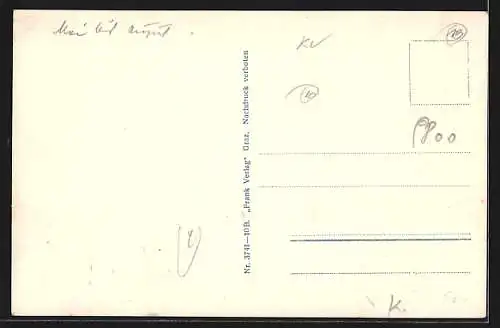 AK Spittal a. d. Drau, Ortsansicht hinter Tannen mit Goldeck