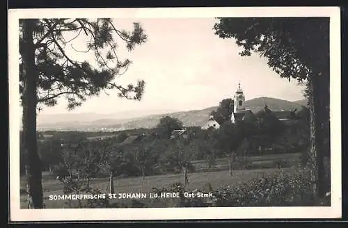 AK St. Johann i. d. Haide, Ortsansicht mit Obstgarten