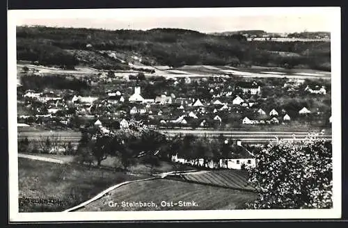 AK Grosssteinbach /Stmk., Ortsansicht mit blühenden Bäumen