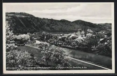 AK Rabenstein a. d. Pielach, Ortsansicht mit blühenden Bäumen