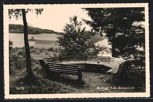 AK Grimmenstein, Hochegg, Birkenwald mit Sitzplatz