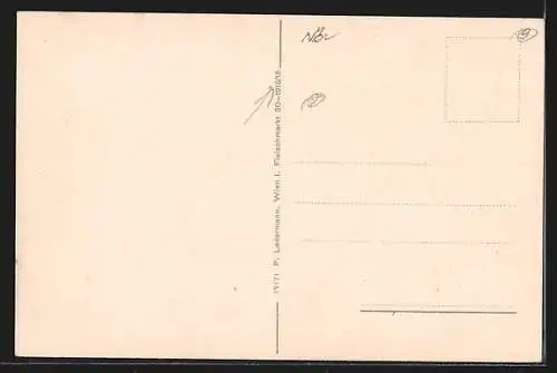 AK St. Pölten /N.Ö., Partie aus dem Stadtpark