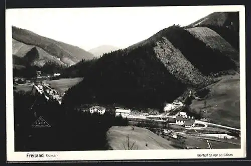 AK Türnitz, Freiland, Panoramaansicht