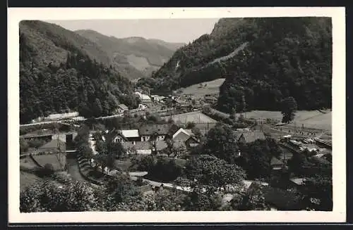 AK Türnitz, Freiland mit dem Traisental