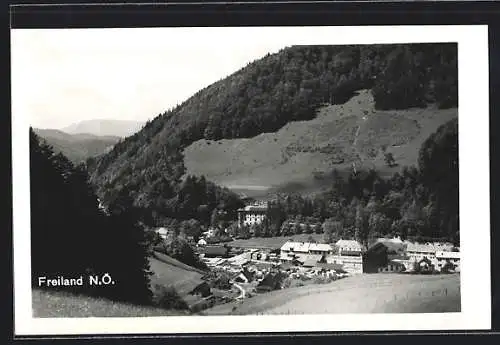 AK Türnitz, Freiland mit bewaldetem Berg