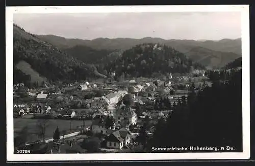 AK Hohenberg /N. Do., Ortsansicht aus der Vogelschau