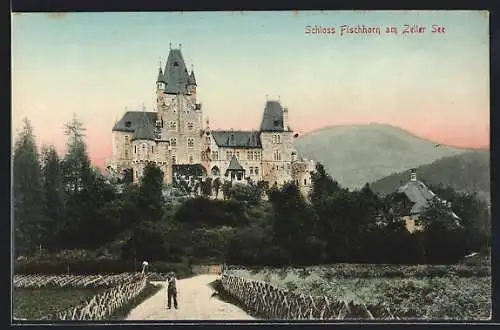 AK Bruck an der Grossglocknerstrasse, Schloss Fischhorn Zeller See mit Berghintergrund
