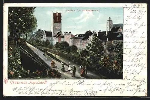 AK Ingolstadt, Partie a. d. alten Stadtmauer