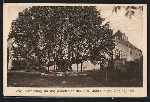 AK Augustusburg, 500jährige Schlosslinde, Burgfest 1921