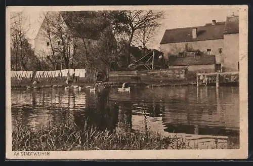 AK Grafenwöhr, Am Stadtweiher