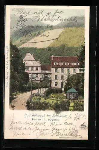 AK Bad Sulzbach / Renchtal, Gasthaus von L. Boersig
