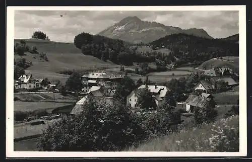 AK Wienerbruck, Ortspartie mit dem Ötscher