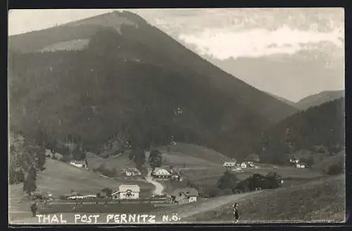 AK Muggendorf /N.-Oe., Partie in Thal