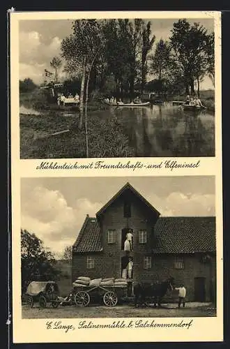 AK Salzhemmendorf, Salinenmühle von E. Lange, Mühlenteich mit Freundschafts- und Elfeninsel