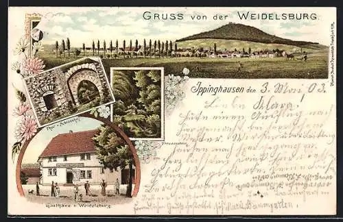 Lithographie Ippinghausen, Gasthaus zur Weidelsburg, Thor zum Schlosshof, Freudenstein, Ortsansicht