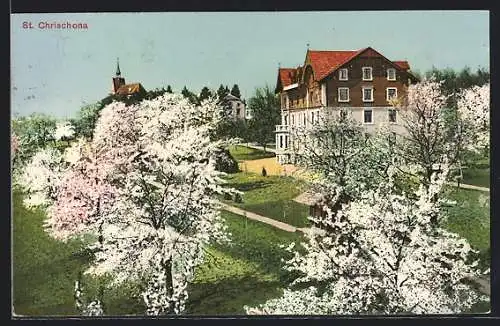 AK St. Chrischona, Wohnhaus während der Baumblüte
