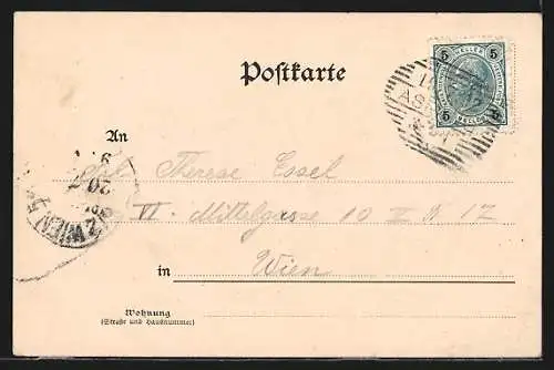 AK Aspang, Totalansicht der Ortschaft