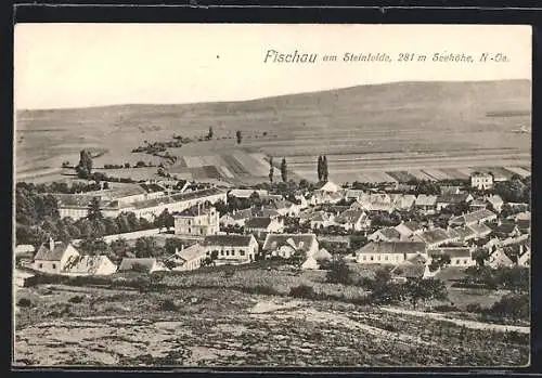 AK Fischau am Steinfelde, Totalansicht von einem Berg aus