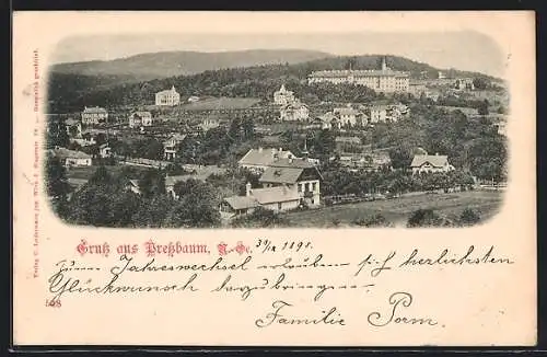 AK Pressbaum, Panorama der Ortschaft