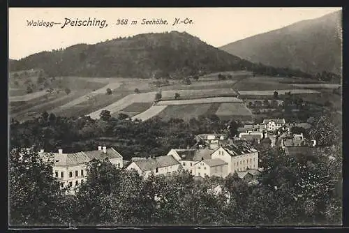 AK Waldegg-Peisching, Ortsansicht aus der Vogelschau