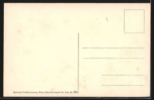 AK Klosterneuburg, Panorama