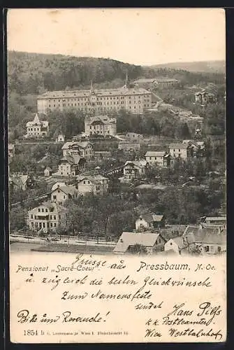 AK Pressbaum, Ortsansicht mit Pensionat Sacré Coeur