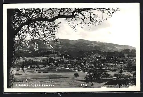 AK Eibiswald, Gesamtansicht von einem Berg aus