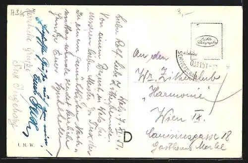 AK Wels, Totalansicht aus der Vogelschau