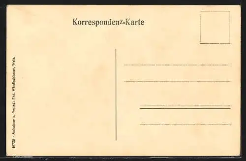 AK Wels, Totalansicht aus der Vogelschau