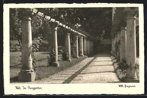 AK Wels, Partie im Burggarten