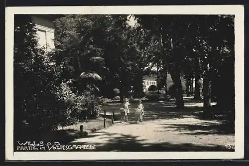 AK Wels, Partie im Volksgarten